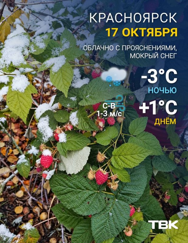Погода на сегодня. ТВК в MAX | Telegram | ВК | Буст