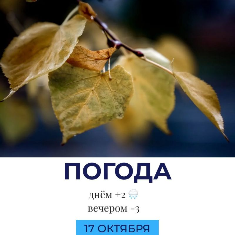 Погода сегодня