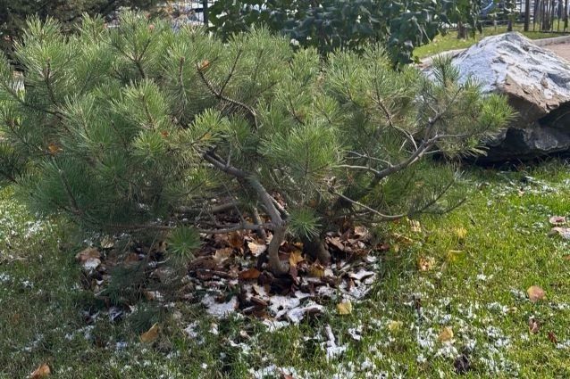 Сильный ветер, дождь и снег ожидаются на неделе в Красноярске