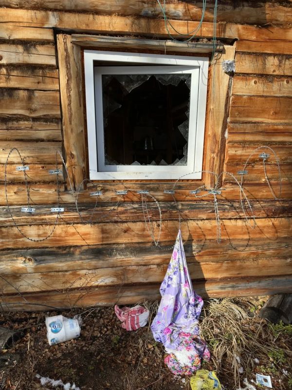 Главный охотовед Красноярского края показал, как голодные медведи разоряют тайгу в Саянах Главный охотовед Красноярского края показал, как голодные медведи разоряют тайгу в Саянах
