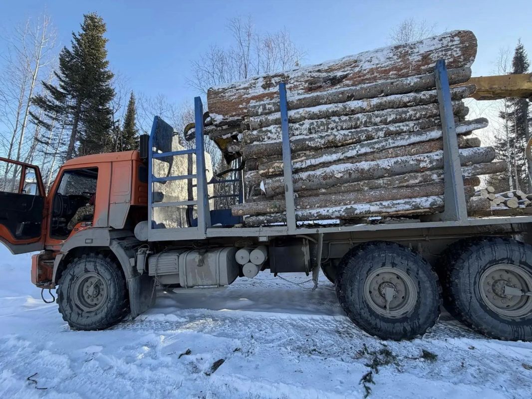 В Красноярском крае перед судом предстали члены организованной группы, совершившие незаконную рубку леса на 40 млн рублей В Красноярском крае перед судом предстали члены организованной группы, совершившие незаконную рубку леса на 40 млн рублей