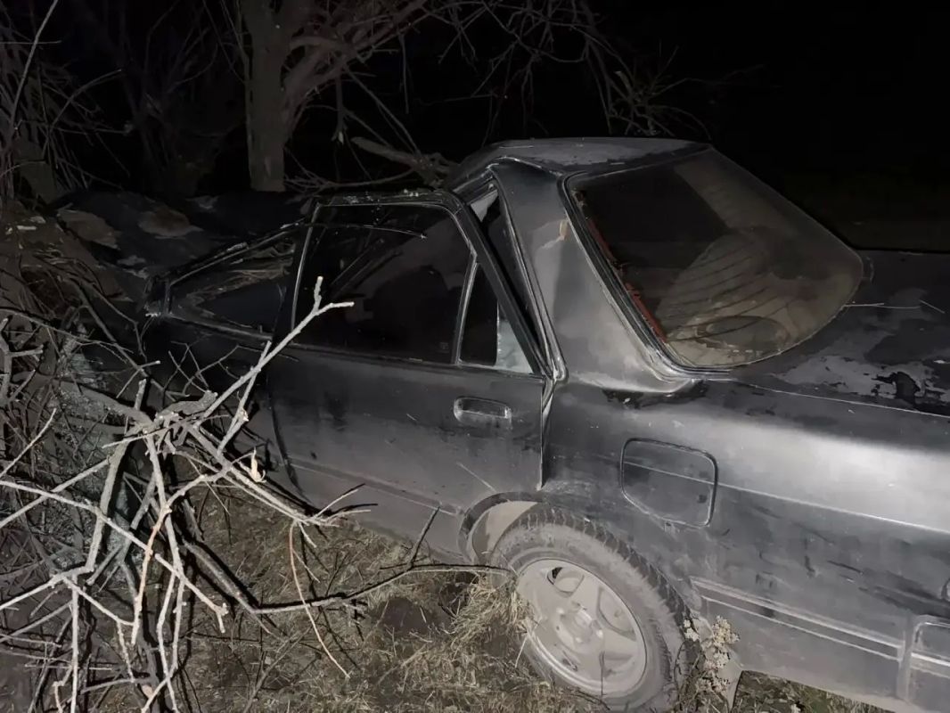В Хакасии автомобиль врезался в лошадь, пострадали женщина и подросток В Хакасии автомобиль врезался в лошадь, пострадали женщина и подросток