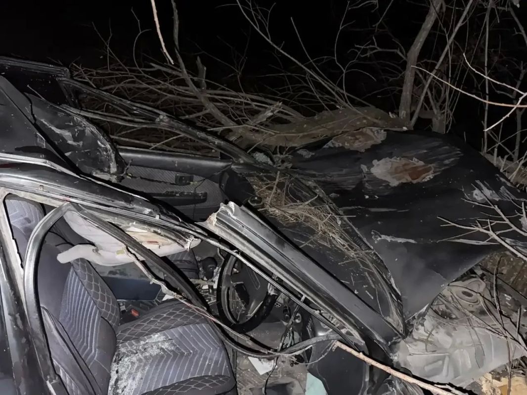 В Хакасии автомобиль врезался в лошадь, пострадали женщина и подросток В Хакасии автомобиль врезался в лошадь, пострадали женщина и подросток
