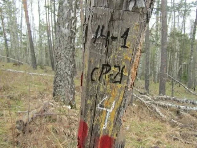 Вместо леса для строительства и отопления — по 5–20 тыс Вместо леса для строительства и отопления — по 5–20 тыс