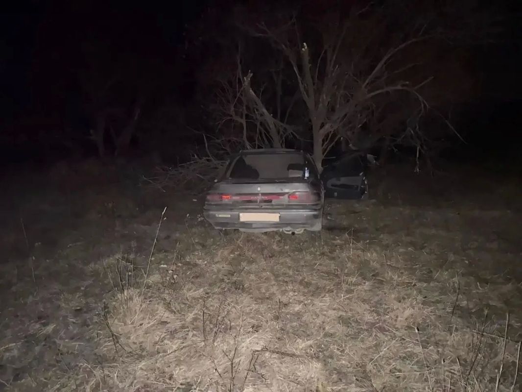 В Хакасии автомобиль врезался в лошадь, пострадали женщина и подросток