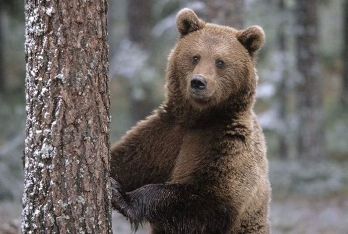 Важно для жителей Нижнего Ингаша
