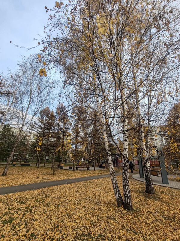 Доброе утро!