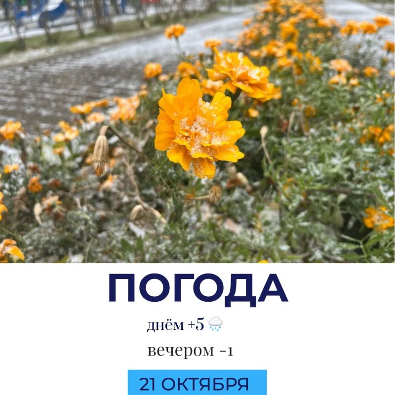 Погода сегодня