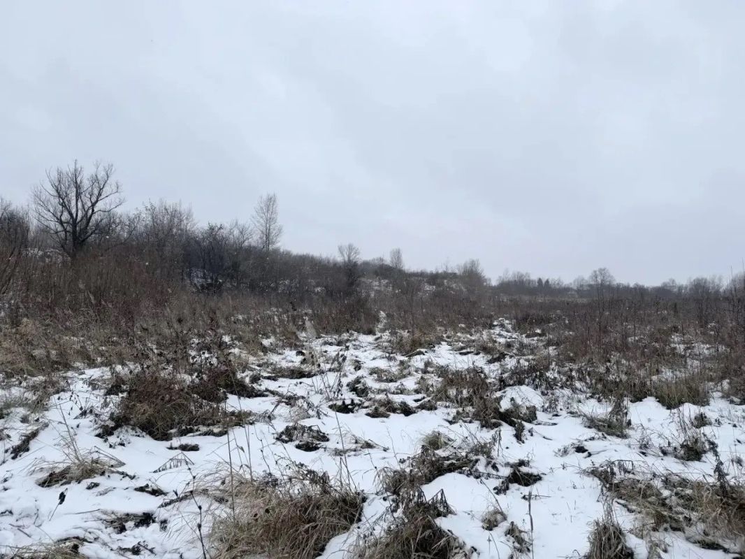 Почти трехдневные поиски 16-летней девочки в Ачинске закончились трагедией: тело пропавшей нашли в микрорайоне «Авиатор»
