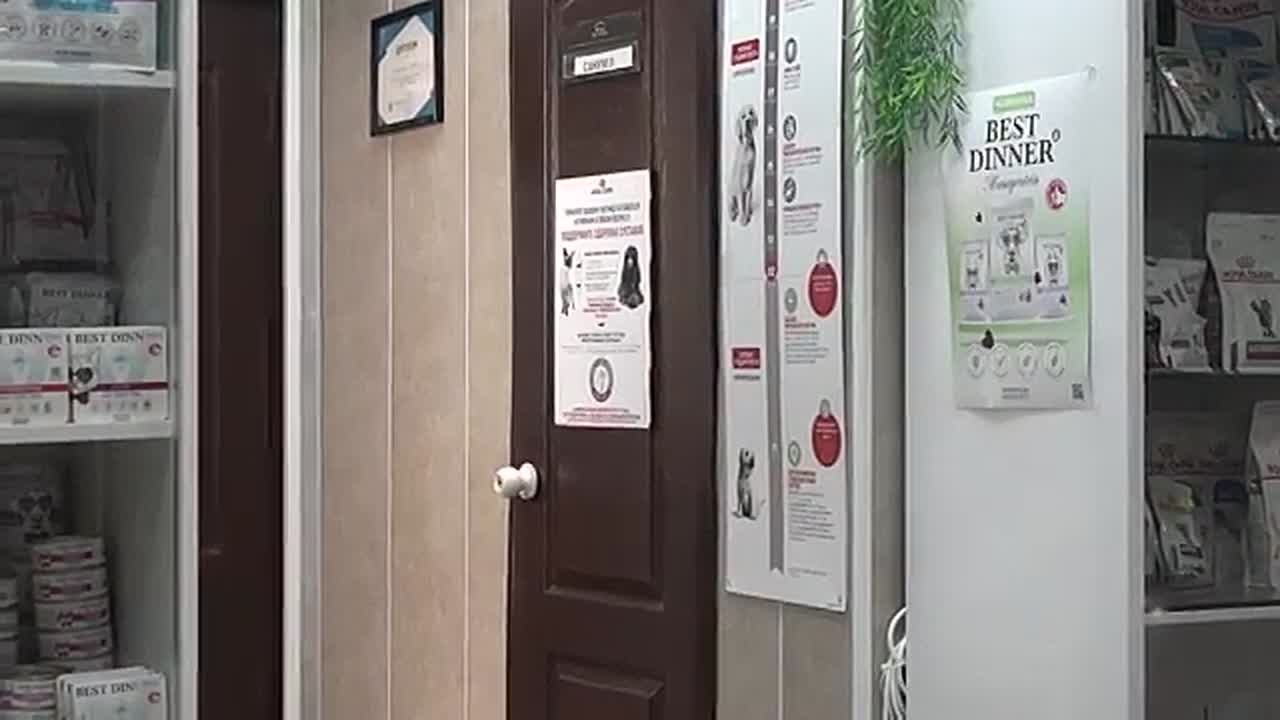 ПОЧЕМУ ГИБНУТ ПИТОМЦЫ. В наше поле зрения уже попадался ветеринарный центр им. Глазкова, где предприниматель занимается лечением животных, на качество услуг которых жалуются клиенты