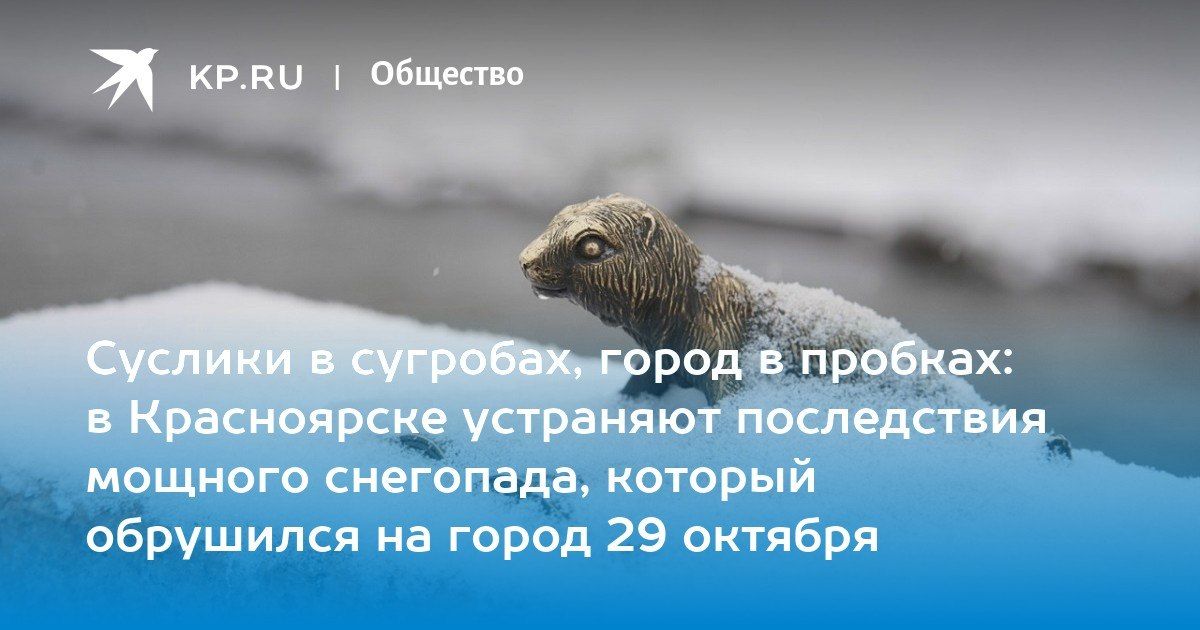 Суслики в сугробах, город в пробках: в Красноярске устраняют последствия мощного снегопада, который обрушился на город 29 октября Суслики в сугробах, город в пробках: в Красноярске устраняют последствия мощного снегопада, который обрушился на город 29 октября