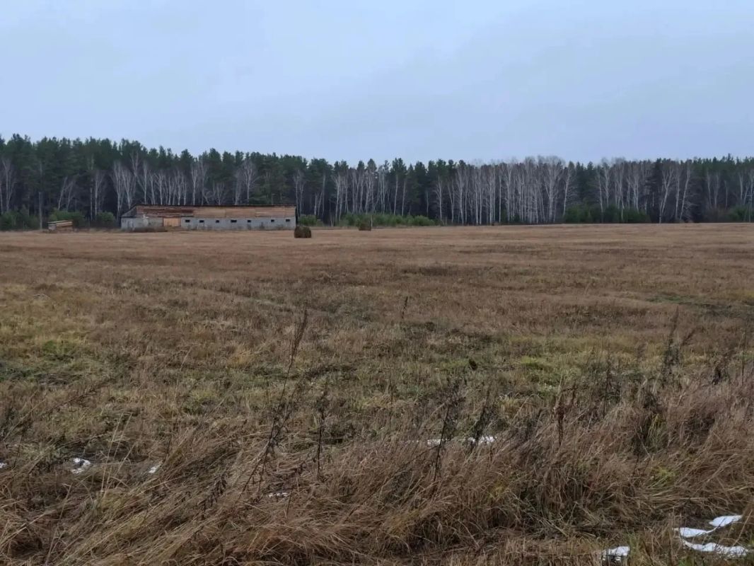 Участок в 10 футбольных полей продали за 71 тысячу рублей, а хозяйственная постройка на 200 «квадратов» так и не заработала — суд вернул землю в муниципалитет Участок в 10 футбольных полей продали за 71 тысячу рублей, а хозяйственная постройка на 200 «квадратов» так и не заработала — суд вернул землю в муниципалитет