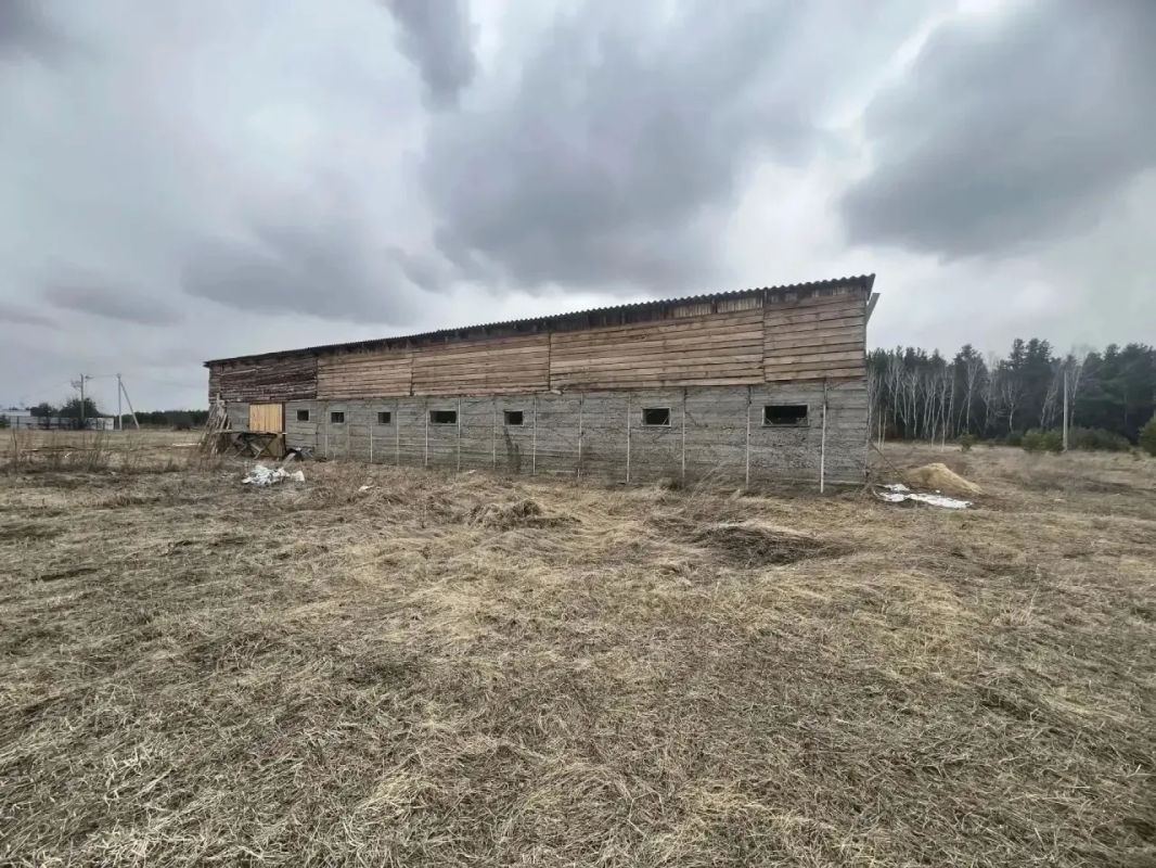 Участок в 10 футбольных полей продали за 71 тысячу рублей, а хозяйственная постройка на 200 «квадратов» так и не заработала — суд вернул землю в муниципалитет Участок в 10 футбольных полей продали за 71 тысячу рублей, а хозяйственная постройка на 200 «квадратов» так и не заработала — суд вернул землю в муниципалитет