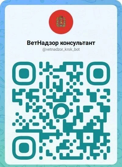 Начал действовать чат-бот ветеринарного надзора