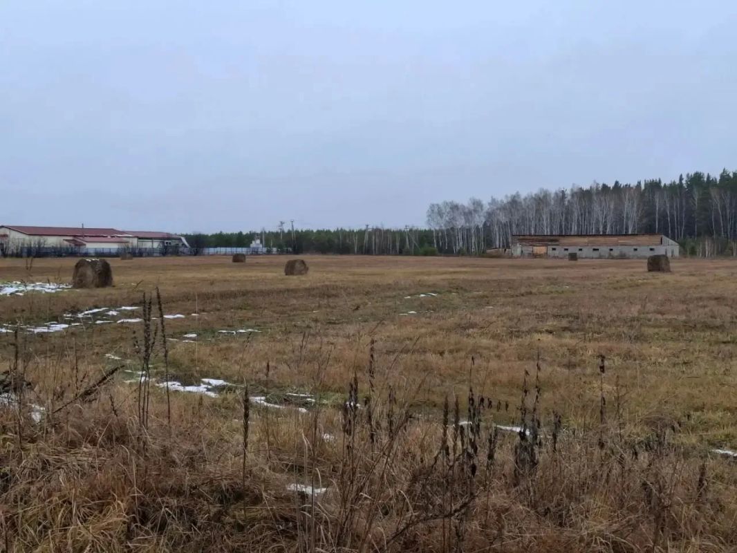Участок в 10 футбольных полей продали за 71 тысячу рублей, а хозяйственная постройка на 200 «квадратов» так и не заработала — суд вернул землю в муниципалитет Участок в 10 футбольных полей продали за 71 тысячу рублей, а хозяйственная постройка на 200 «квадратов» так и не заработала — суд вернул землю в муниципалитет